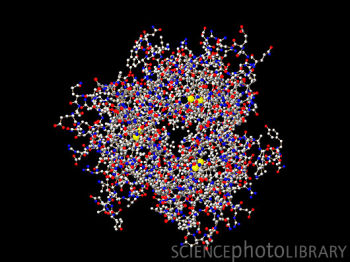 TNF是肿瘤坏死因子-α（Tumor Necrosis Factor）的简写，是一种能够直接杀伤肿瘤细胞而对正常细胞无明显毒性的细胞因子，